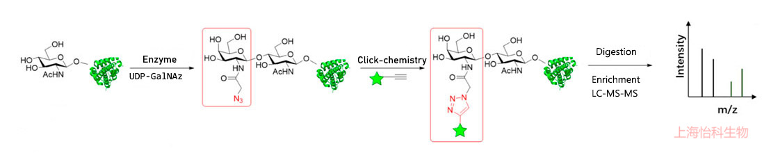 11111 (1).jpg 11111 (1).jpg